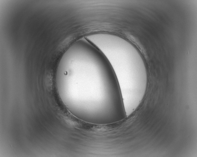 X0000066020113200603031259