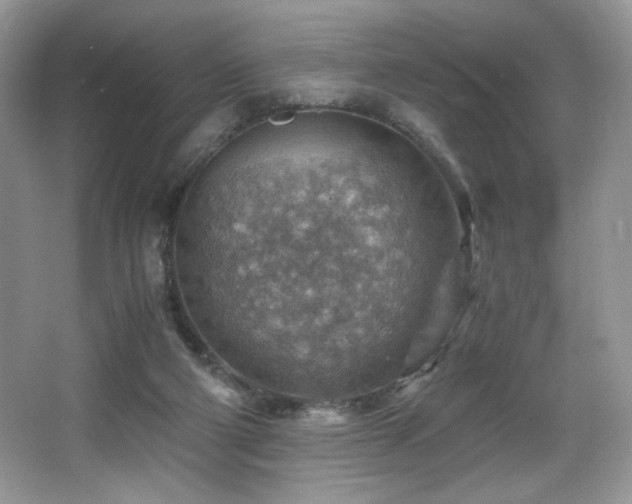X0000066020114200603031259