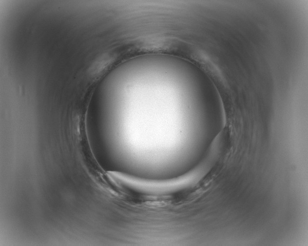 X0000066020115200603031259