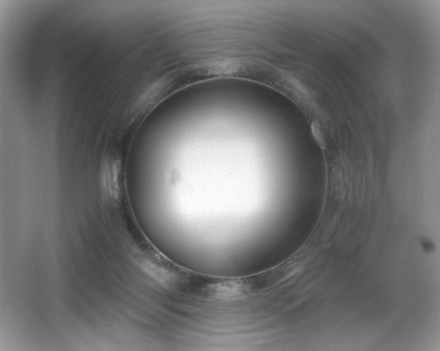 X0000066020118200603031259