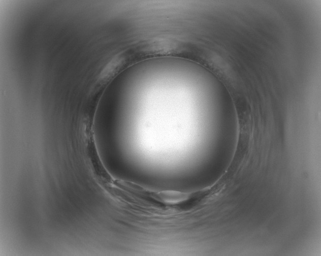X0000066020119200603031259