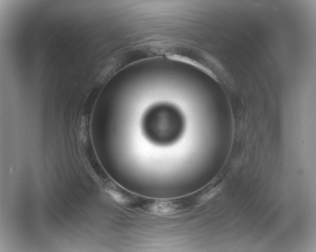 X0000066020121200603031259
