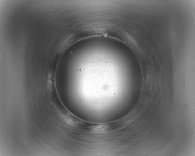 X0000066020122200603031259