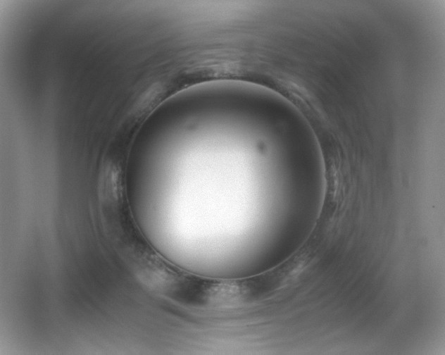 X0000066020123200603031259