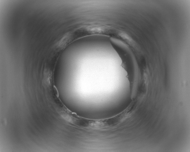 X0000066020125200603031259