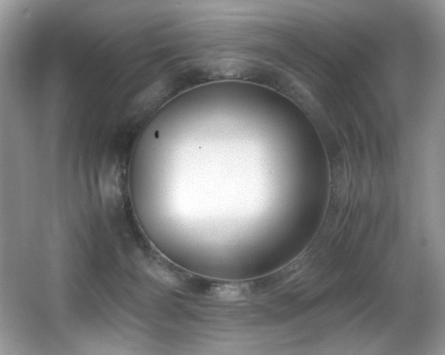 X0000066020126200603031259