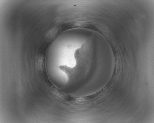 X0000066020127200603031259