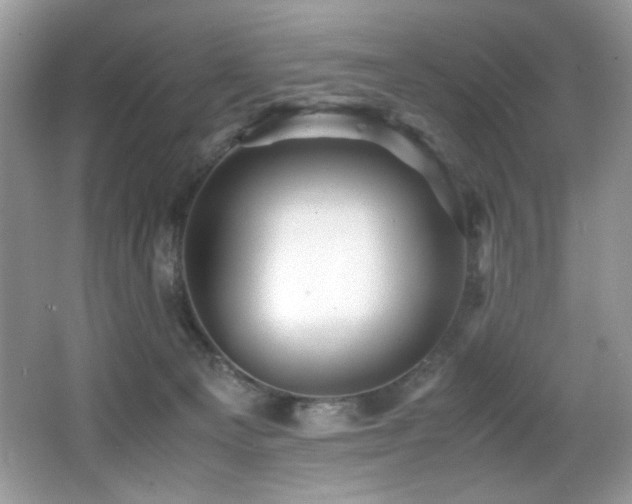 X0000066020129200603031259