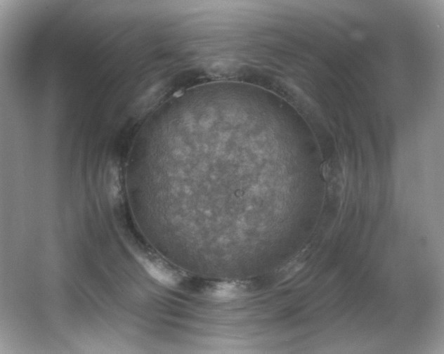 X0000066020130200603031259