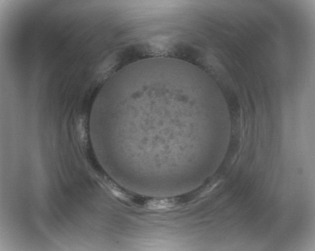 X0000066020131200603031259