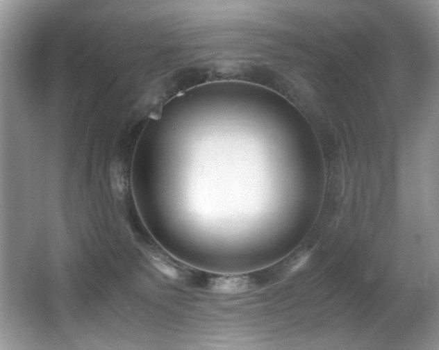 X0000066020135200603031259