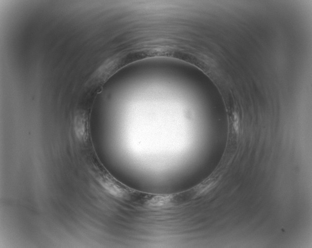 X0000066020138200603031259