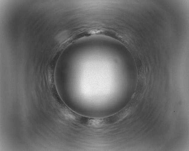 X0000066020139200603031259