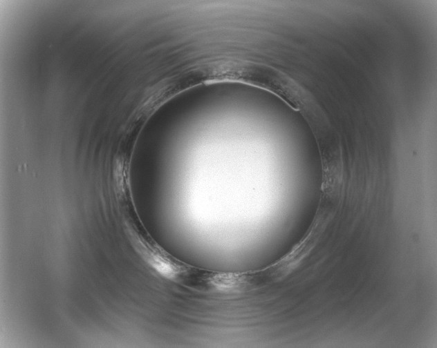 X0000066020142200603031259
