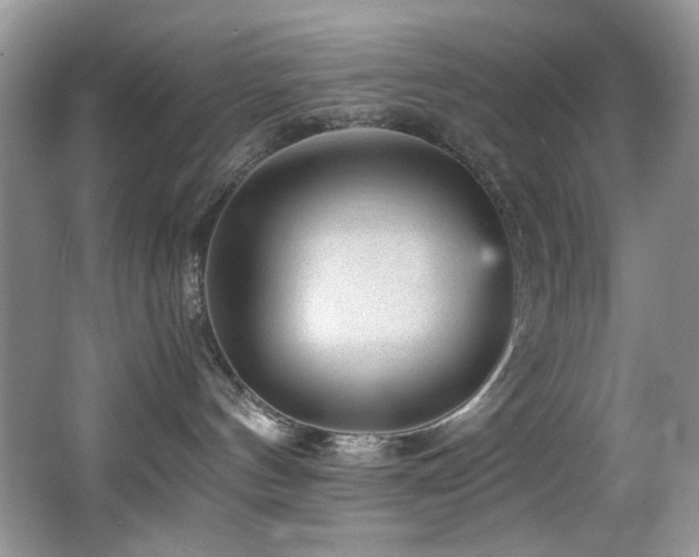 X0000066020144200603031259