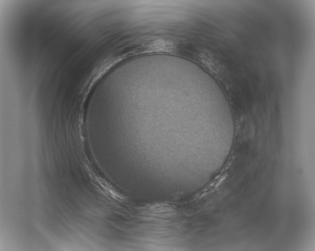 X0000066020146200603031258