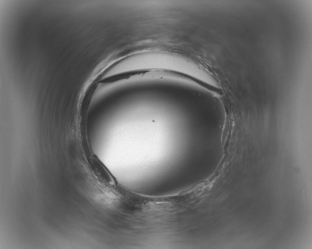 X0000066020150200603031258
