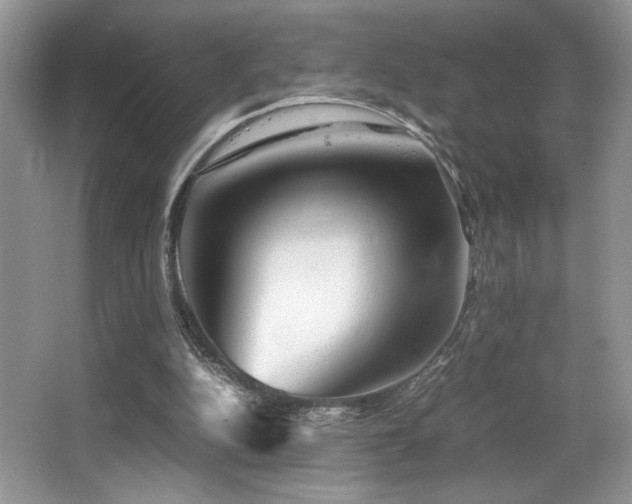 X0000066020152200603031258