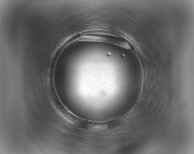 X0000066020155200603031258