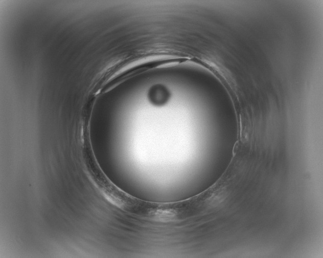 X0000066020157200603031258