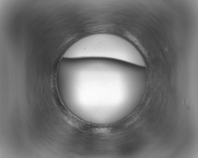 X0000066020161200603031258