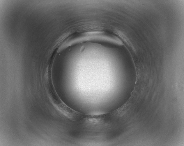X0000066020163200603031258