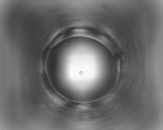 X0000066020164200603031258