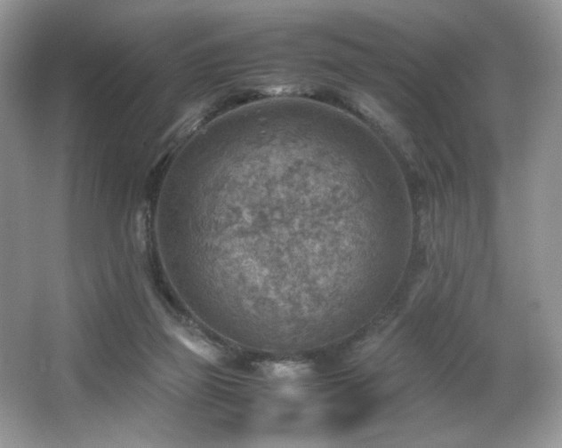 X0000066020165200603031258