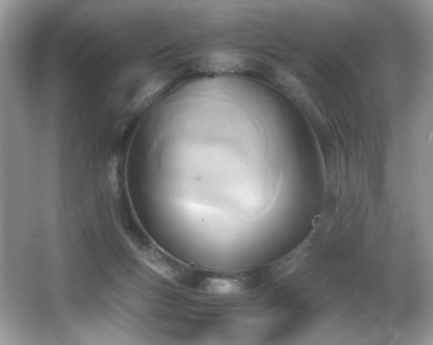 X0000066020167200603031258