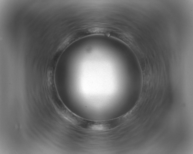 X0000066020171200603031258