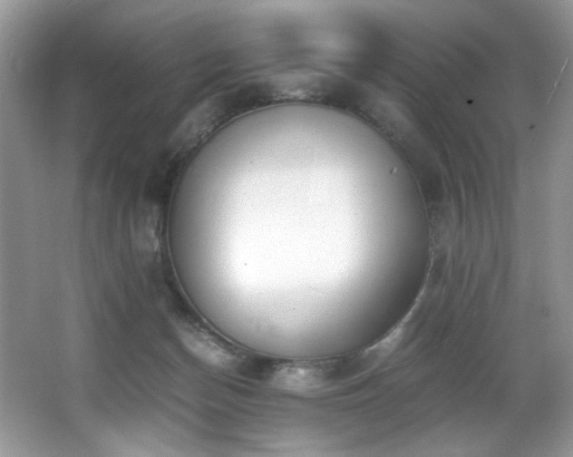 X0000066020174200603031258