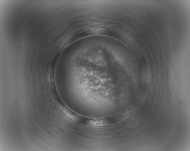 X0000066020181200603031258