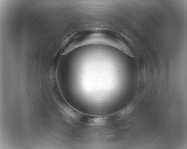 X0000066020184200603031258