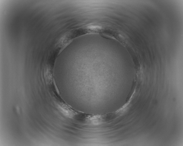 X0000066020186200603031258
