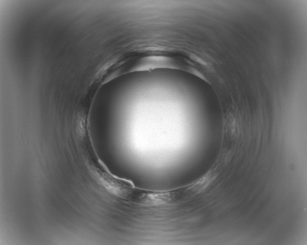 X0000066020188200603031259