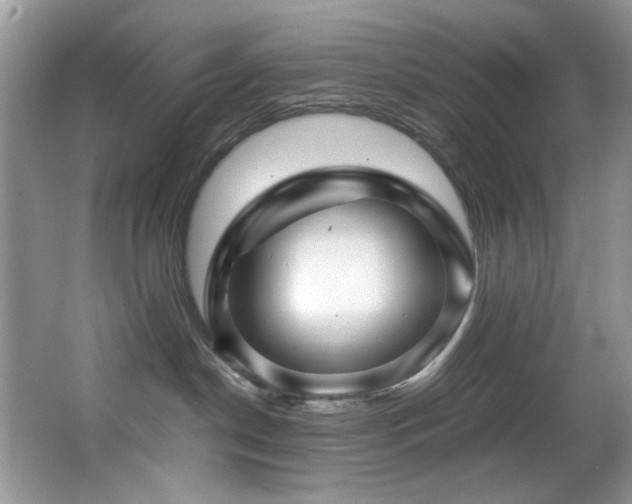 X0000066020190200603031259