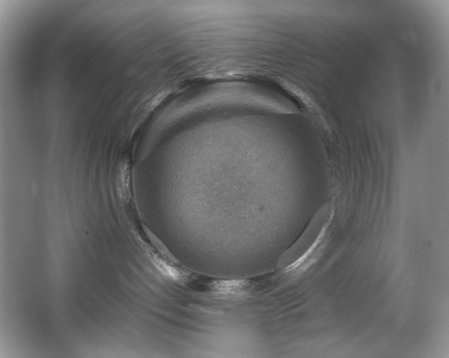 X0000066020192200603031259