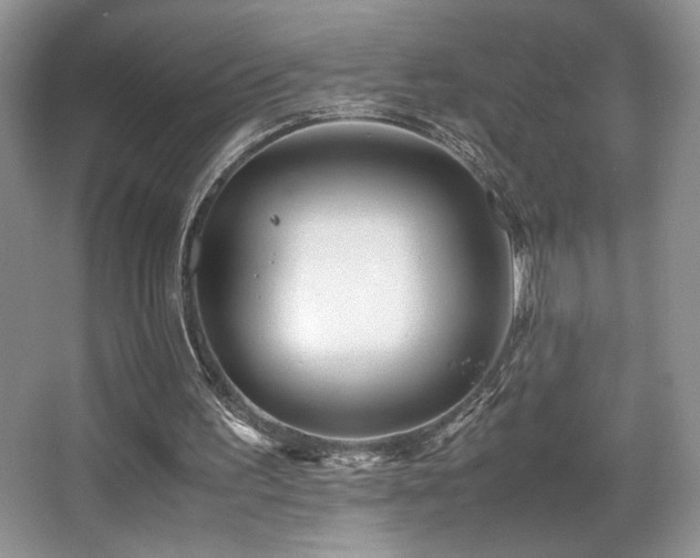 X0000066020195200603031258