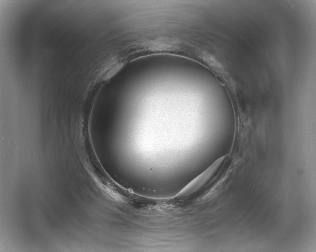 X0000066020201200603031258