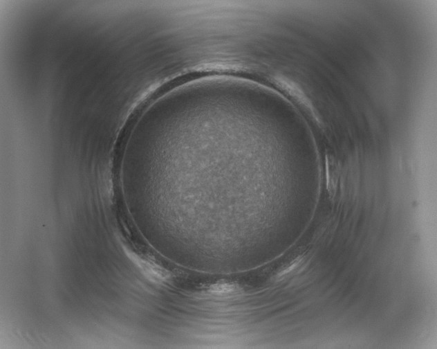 X0000066020204200603031258