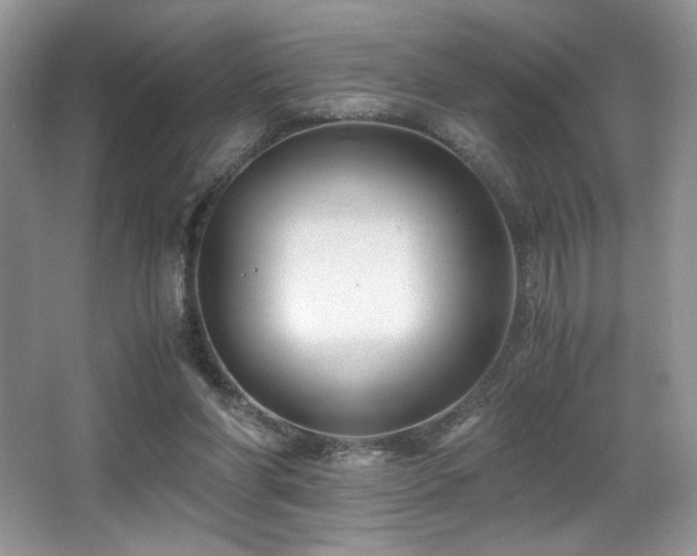 X0000066020206200603031258