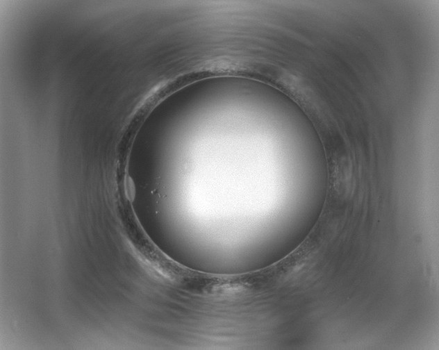 X0000066020208200603031258
