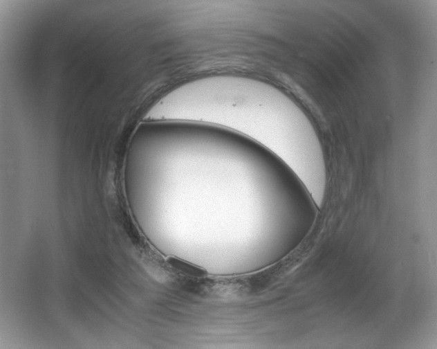 X0000066020209200603031258