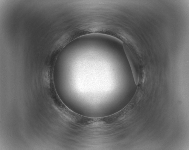 X0000066020210200603031257