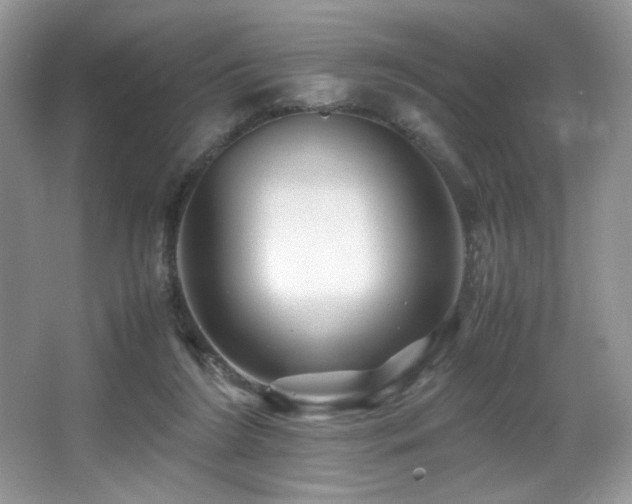 X0000066020212200603031257