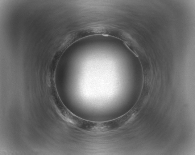 X0000066020213200603031257