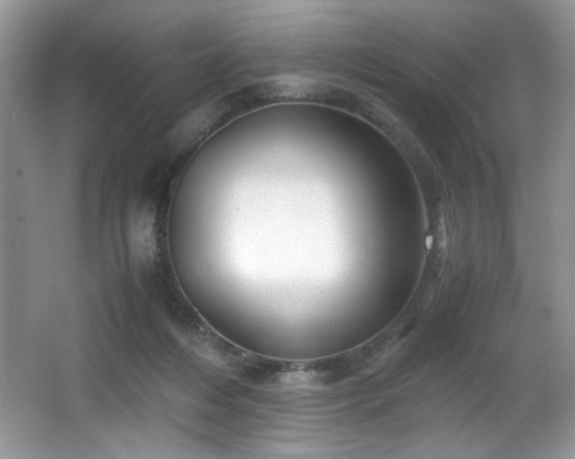 X0000066020216200603031257