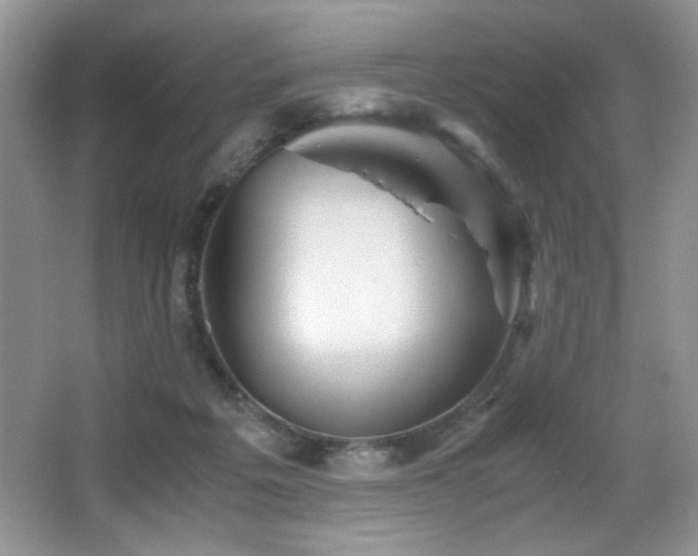 X0000066020217200603031257
