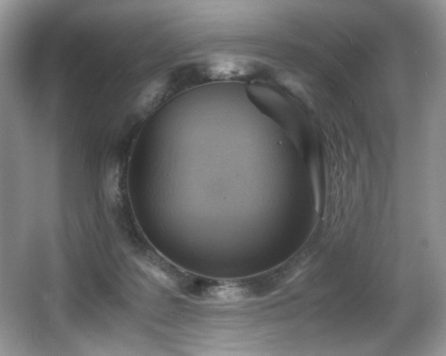 X0000066020219200603031257