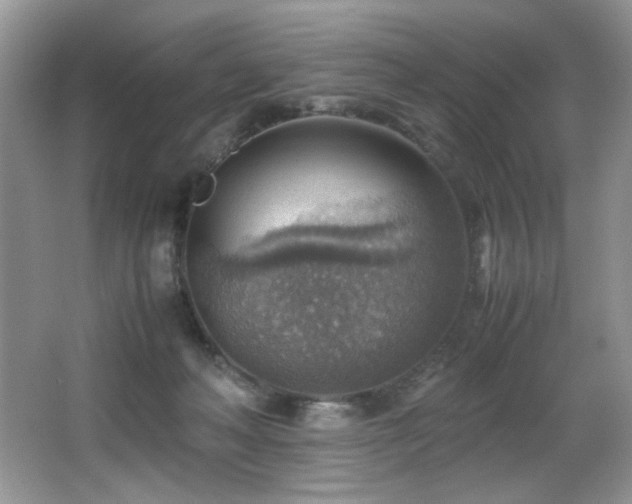 X0000066020222200603031257